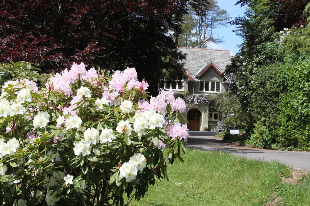 Knapp House Lodges East Anstey 외부 사진